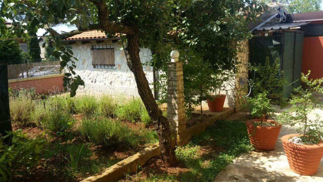 Apartments Ingrid Новиград Экстерьер фото